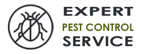 Pest Control Exterminator  Miami Beach FL